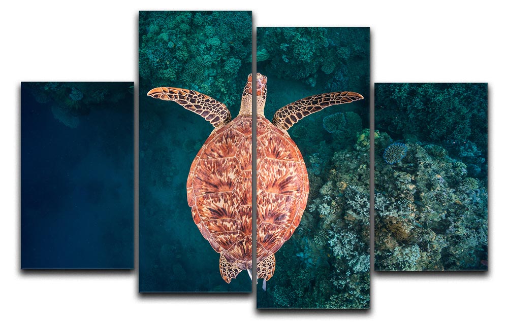Flying Over The Reef 4 Split Panel Canvas - Canvas Art Rocks - 1