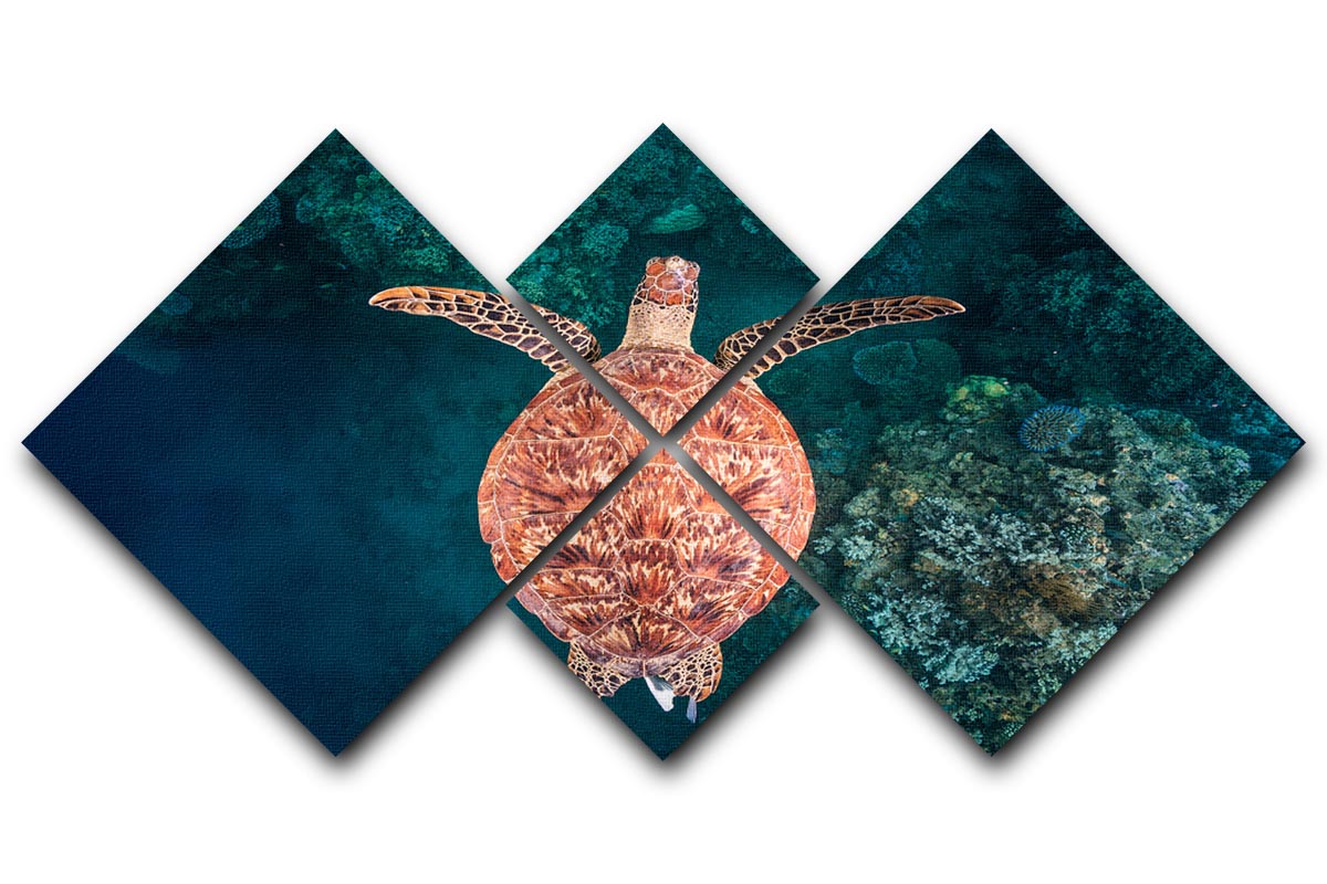 Flying Over The Reef 4 Square Multi Panel Canvas - Canvas Art Rocks - 1