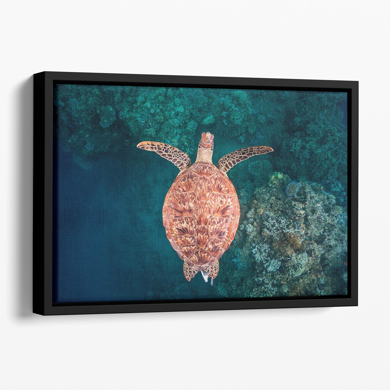 Flying Over The Reef Floating Framed Canvas - Canvas Art Rocks - 1