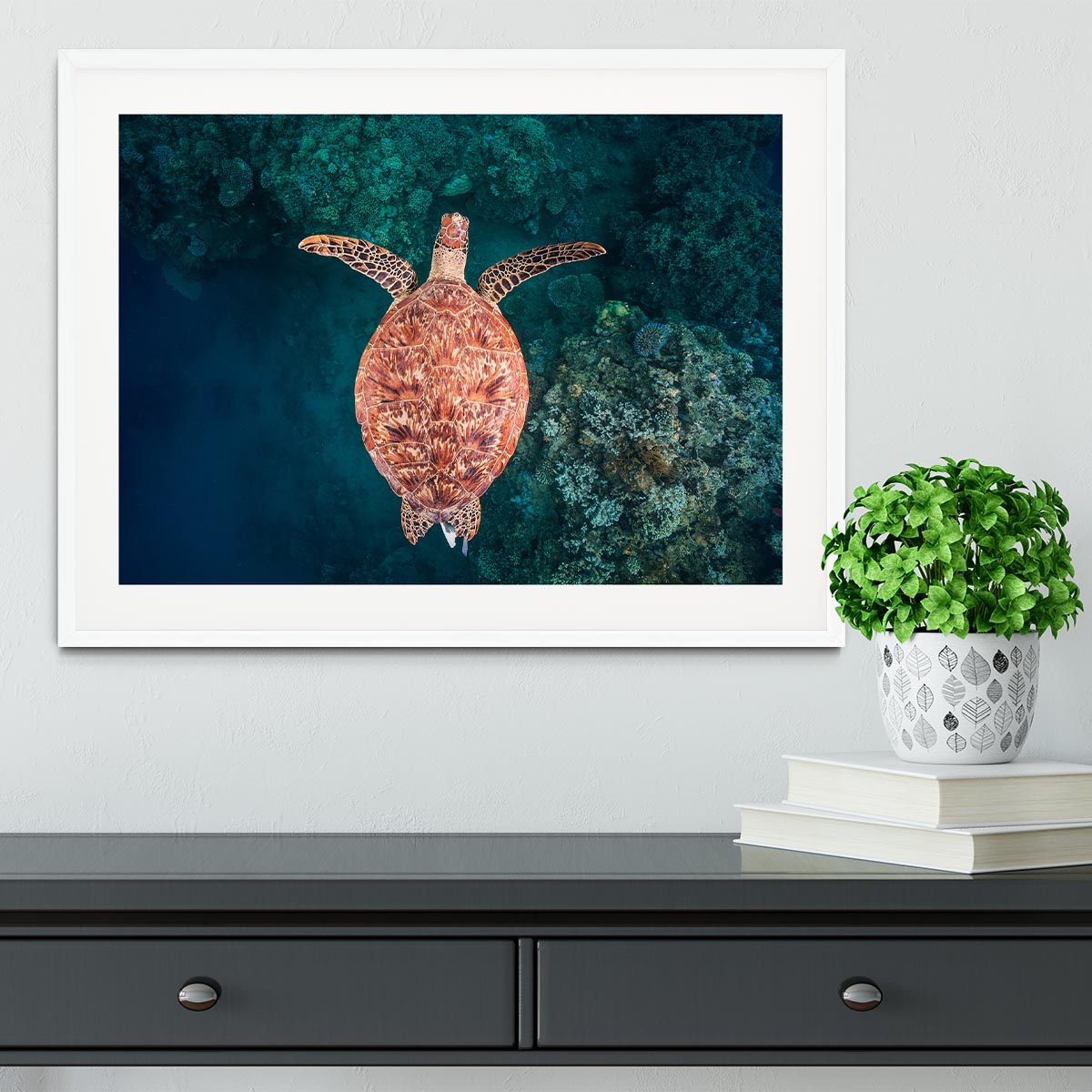 Flying Over The Reef Framed Print - Canvas Art Rocks - 5