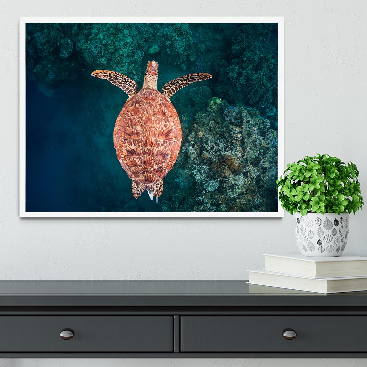 Flying Over The Reef Framed Print - Canvas Art Rocks -6