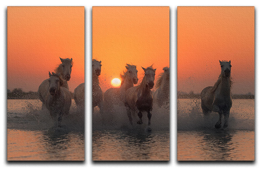Horses Sunset in Camargue 3 Split Panel Canvas Print - Canvas Art Rocks - 1