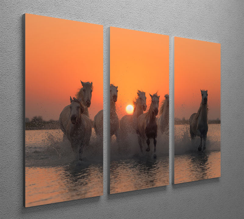 Horses Sunset in Camargue 3 Split Panel Canvas Print - Canvas Art Rocks - 2