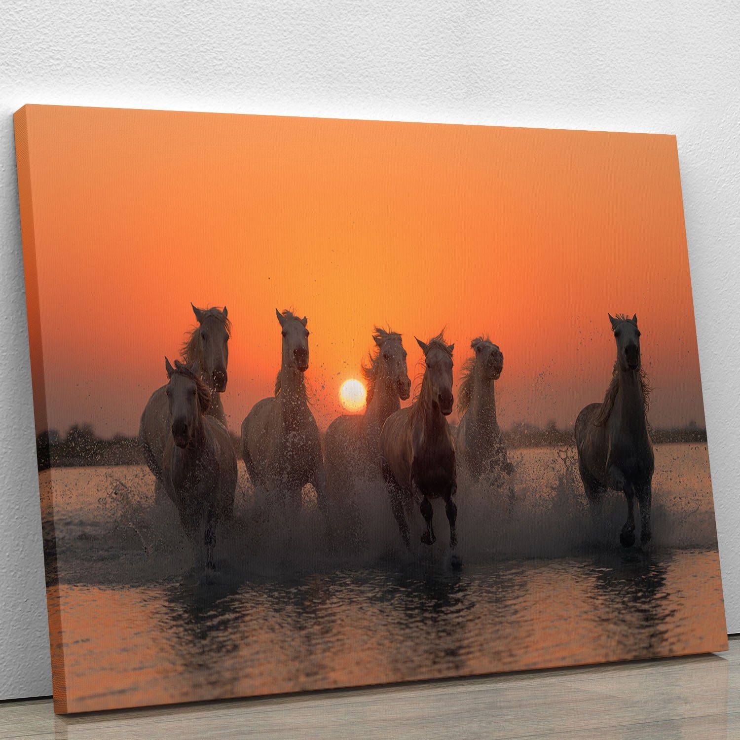 Horses Sunset in Camargue Canvas Print or Poster - Canvas Art Rocks - 1