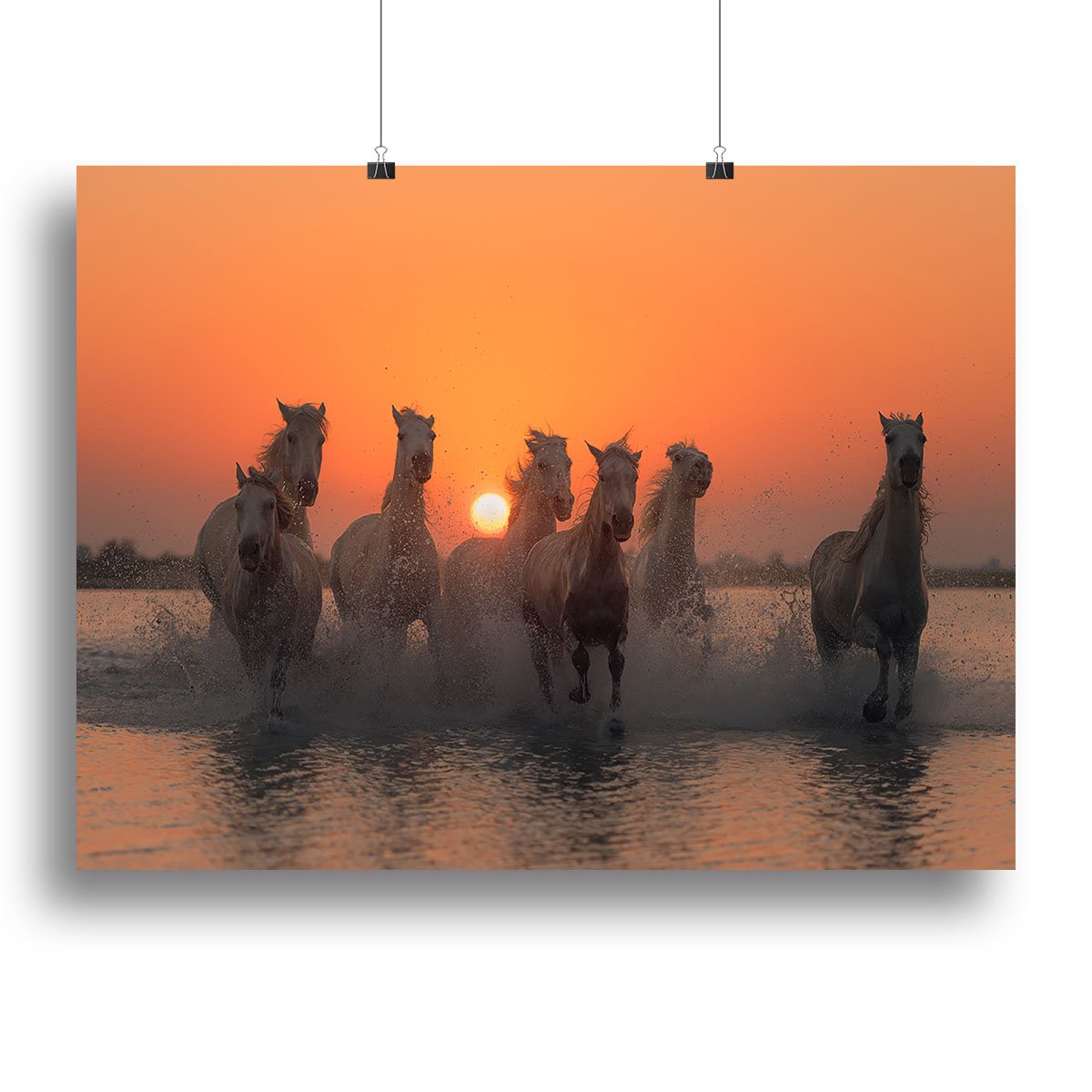 Horses Sunset in Camargue Canvas Print or Poster - Canvas Art Rocks - 2