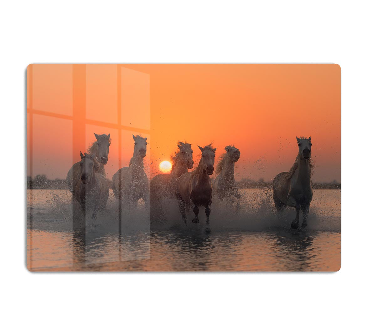 Horses Sunset in Camargue HD Metal Print - Canvas Art Rocks - 1