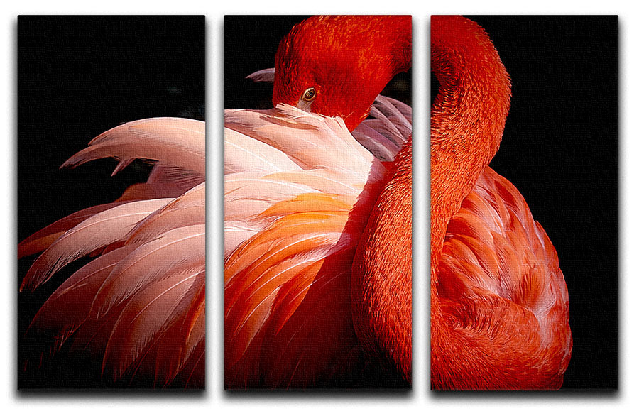 flamingo Close Up 3 Split Panel Canvas Print - Canvas Art Rocks - 1