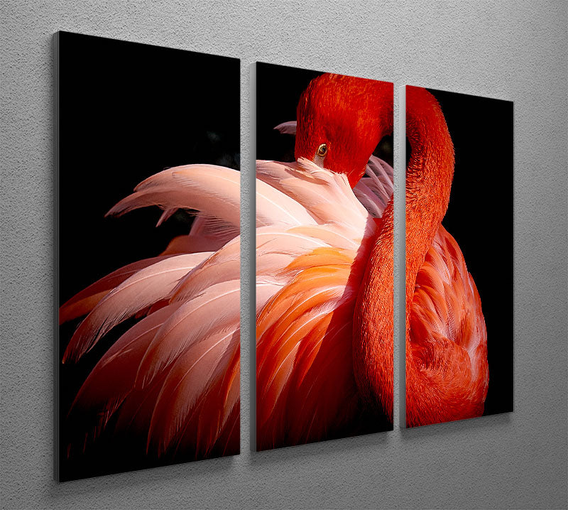 flamingo Close Up 3 Split Panel Canvas Print - Canvas Art Rocks - 2