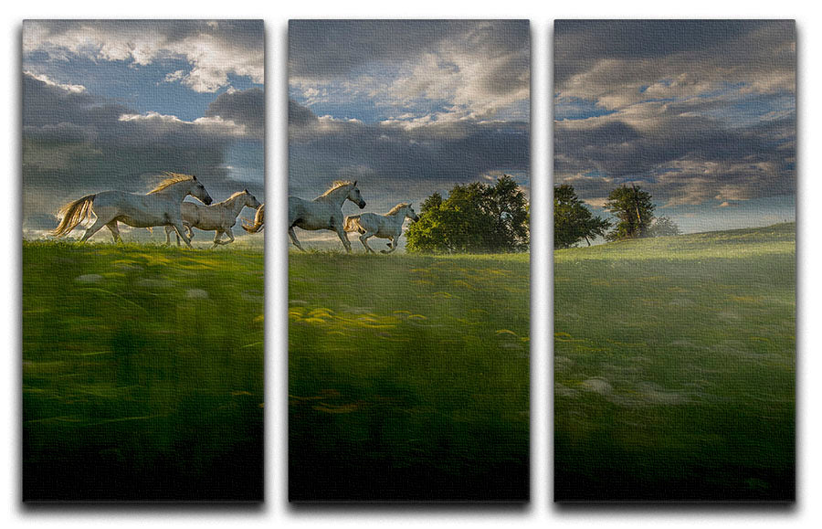 Galloping Horses 3 Split Panel Canvas Print - Canvas Art Rocks - 1