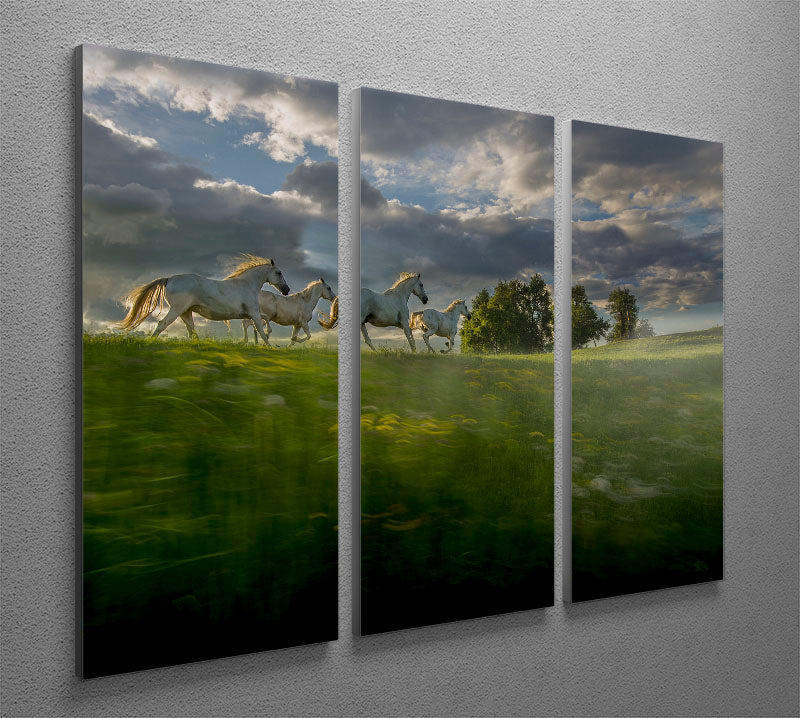 Galloping Horses 3 Split Panel Canvas Print - Canvas Art Rocks - 2