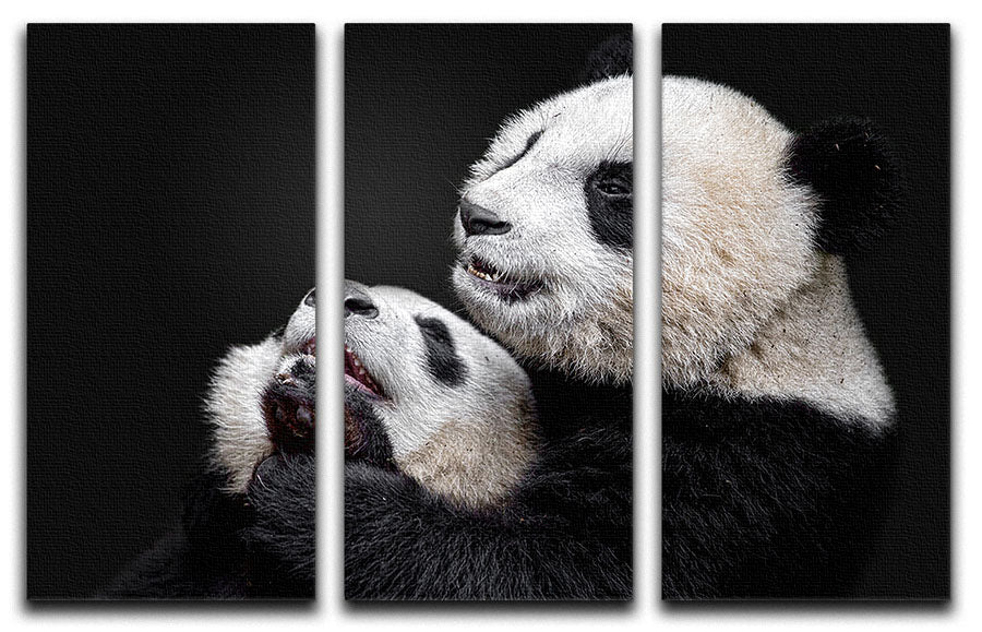 Pandas Playing 3 Split Panel Canvas Print - Canvas Art Rocks - 1