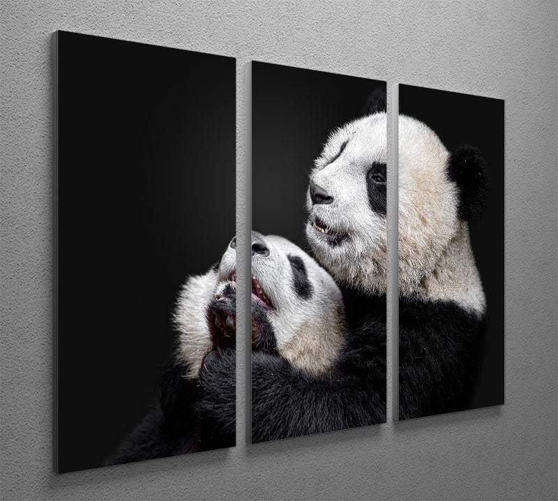 Pandas Playing 3 Split Panel Canvas Print - Canvas Art Rocks - 2