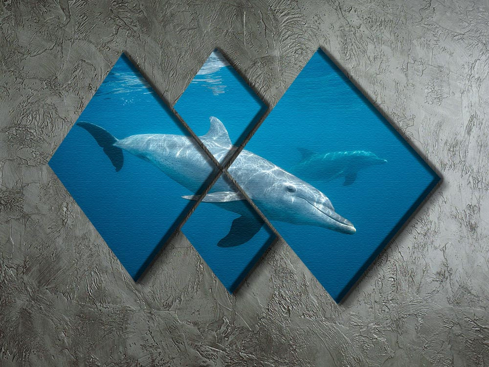 Curious Dolphin 4 Square Multi Panel Canvas - Canvas Art Rocks - 2