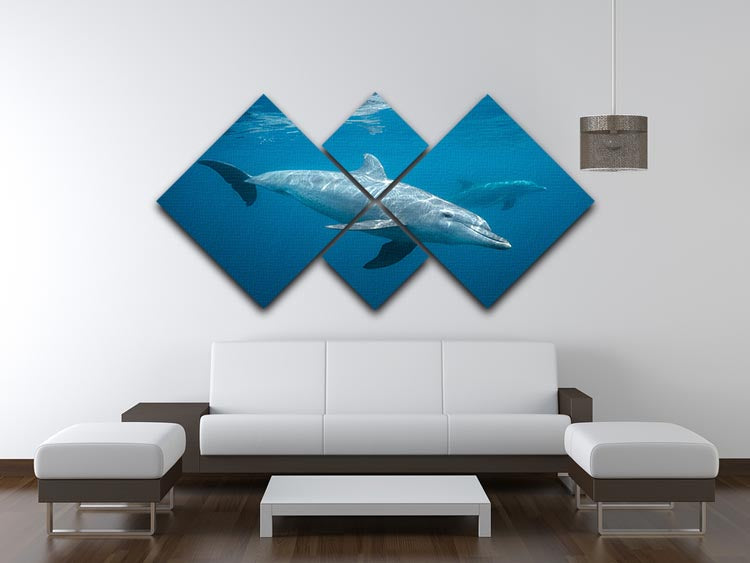 Curious Dolphin 4 Square Multi Panel Canvas - Canvas Art Rocks - 3