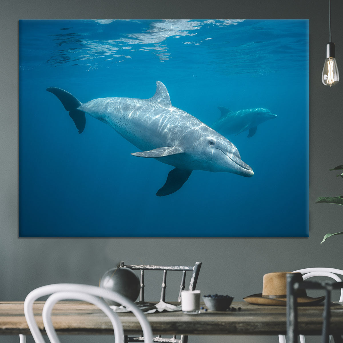 Curious Dolphin Canvas Print or Poster - Canvas Art Rocks - 3