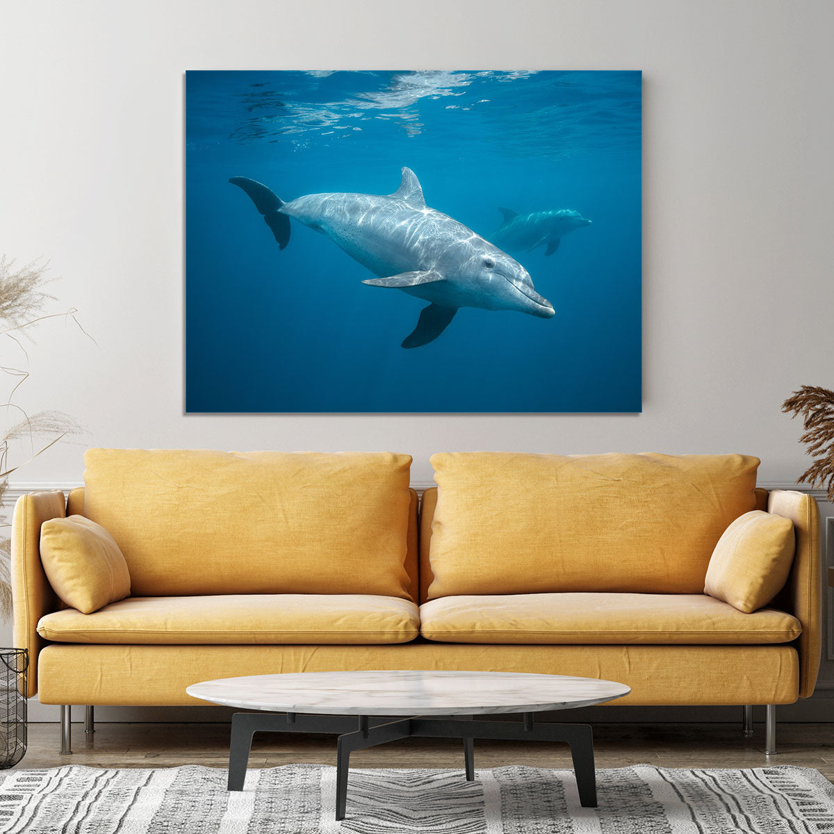 Curious Dolphin Canvas Print or Poster - Canvas Art Rocks - 4
