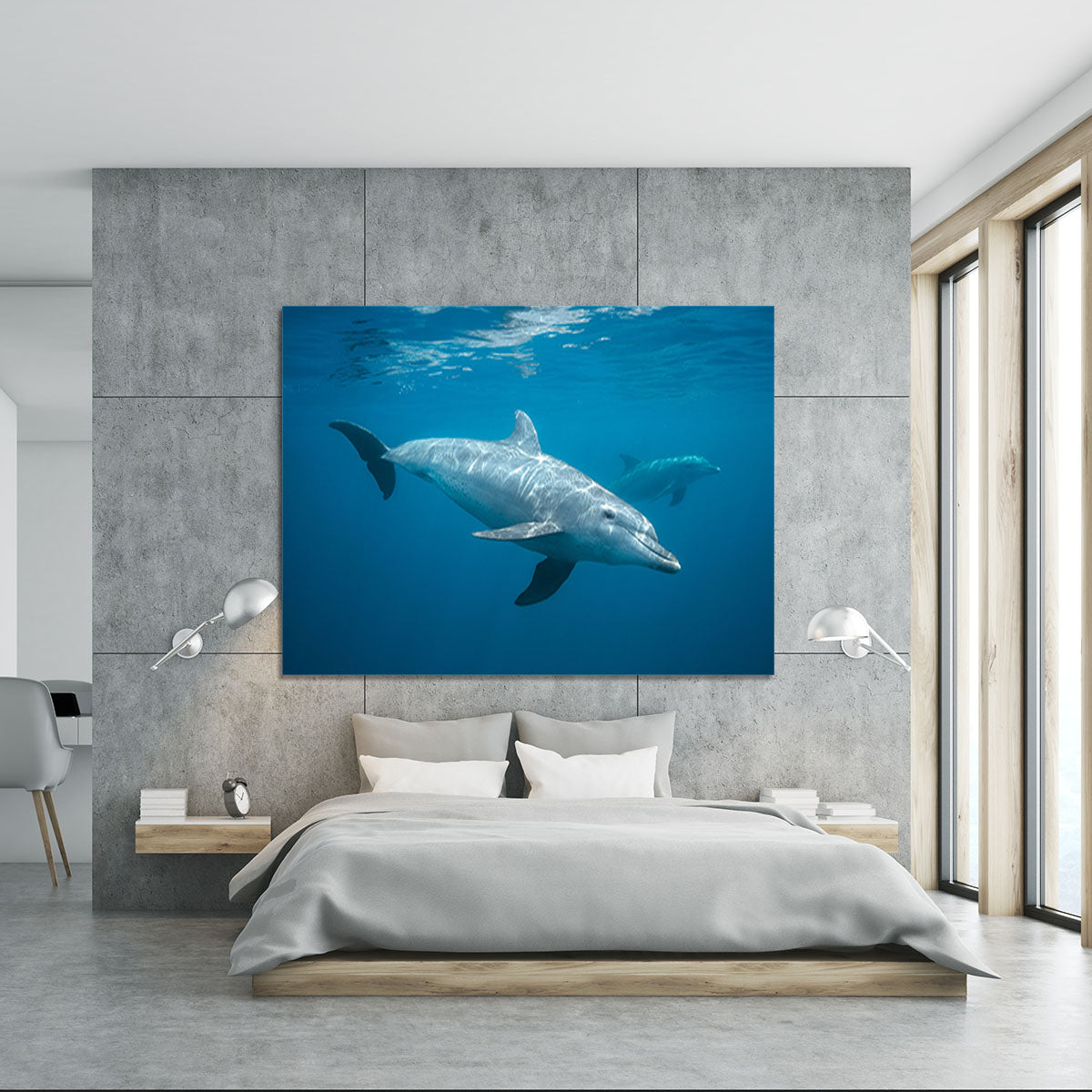 Curious Dolphin Canvas Print or Poster - Canvas Art Rocks - 5