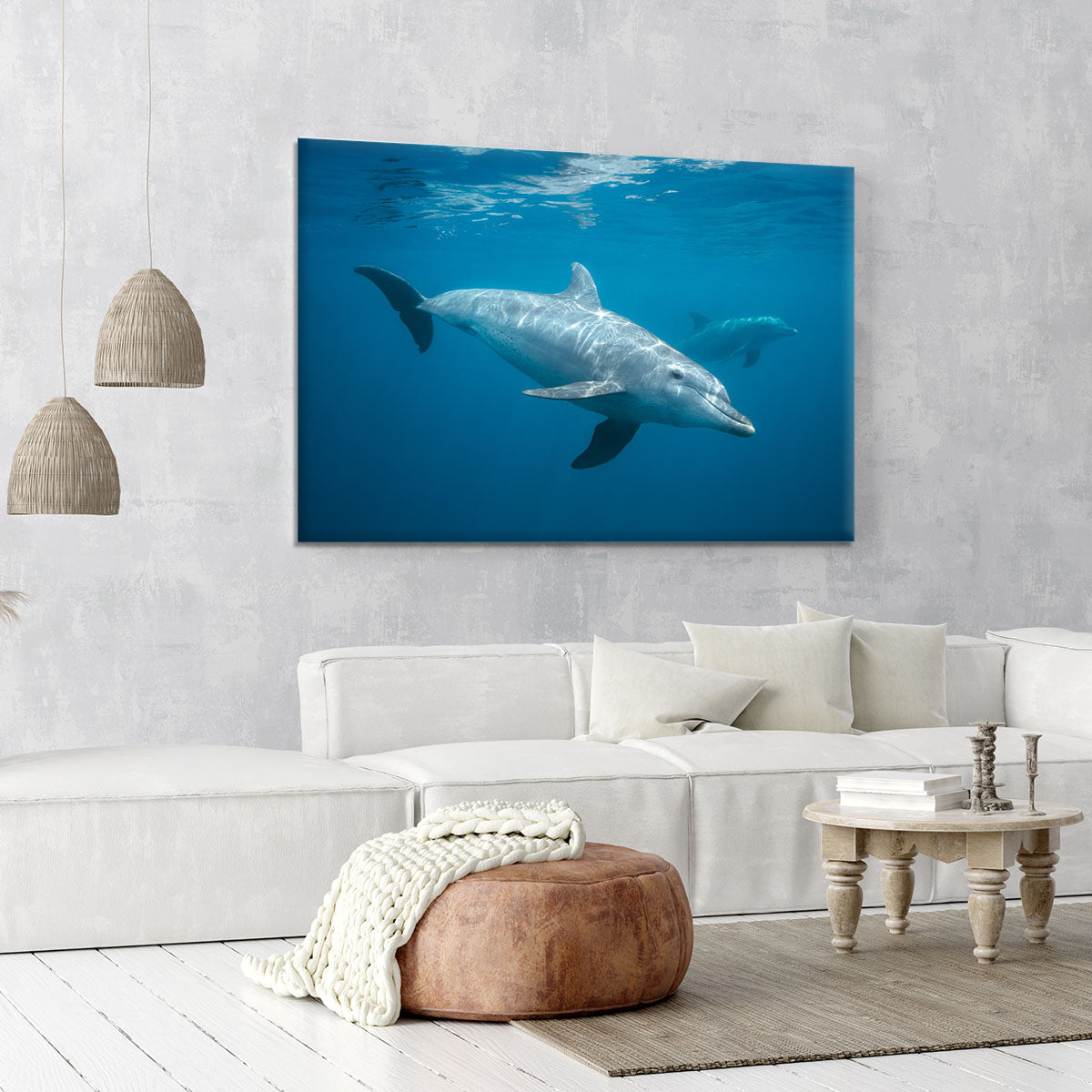 Curious Dolphin Canvas Print or Poster - Canvas Art Rocks - 6