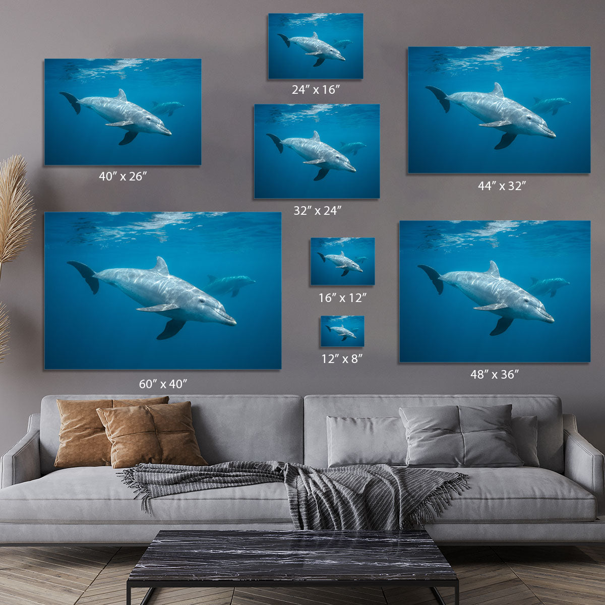Curious Dolphin Canvas Print or Poster - Canvas Art Rocks - 7