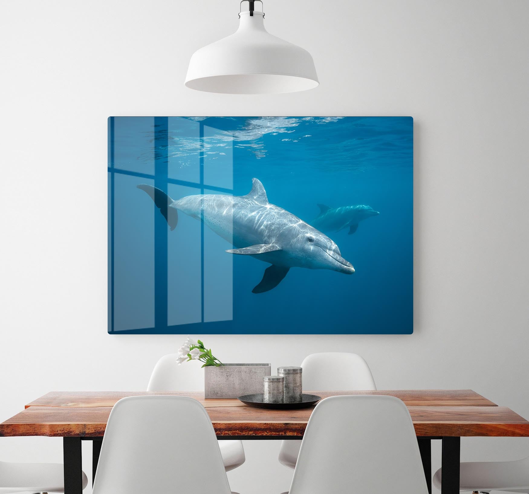 Curious Dolphin HD Metal Print - Canvas Art Rocks - 2