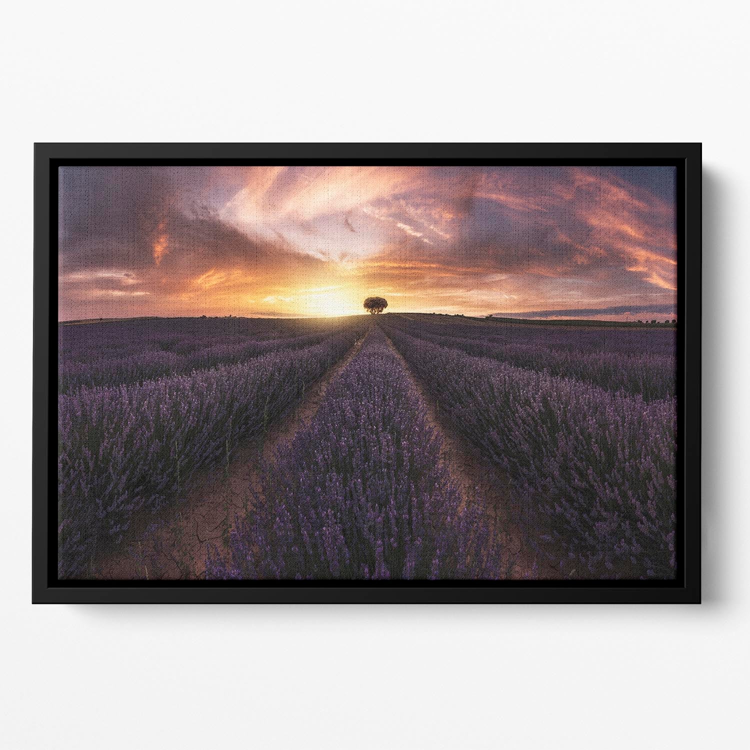 Lavender Sunset Floating Framed Canvas - Canvas Art Rocks - 2