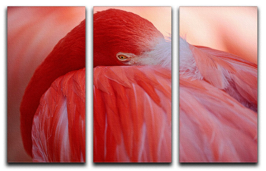 Red Flamingo 3 Split Panel Canvas Print - Canvas Art Rocks - 1
