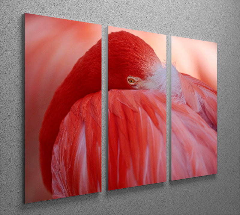 Red Flamingo 3 Split Panel Canvas Print - Canvas Art Rocks - 2