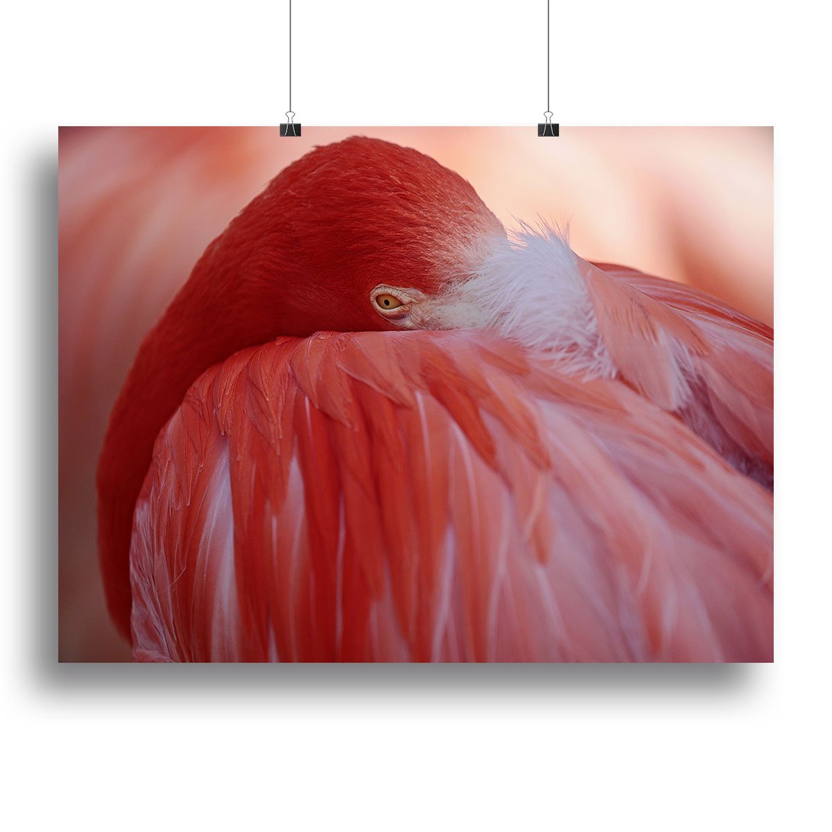 Red Flamingo Canvas Print or Poster - Canvas Art Rocks - 2