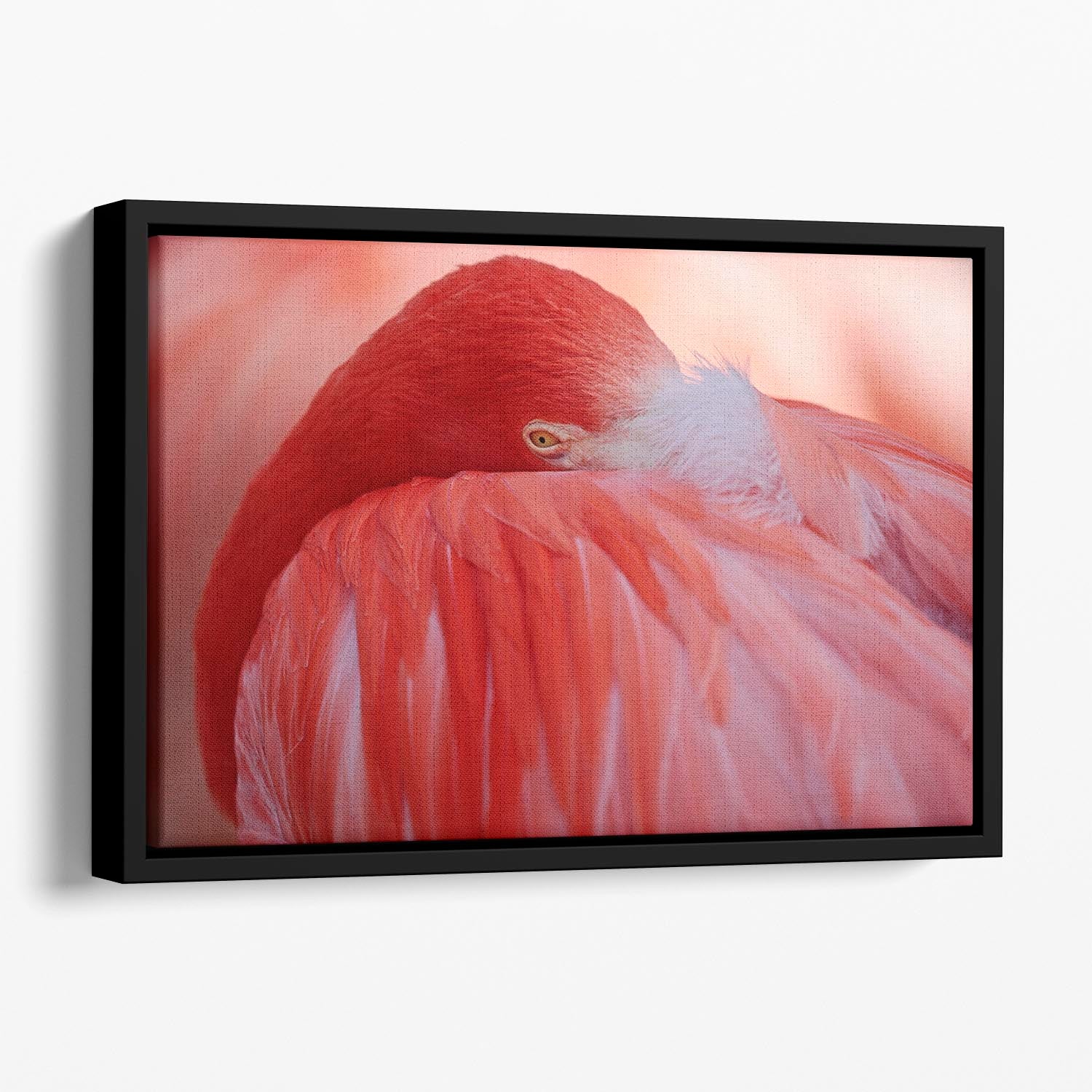 Red Flamingo Floating Framed Canvas - Canvas Art Rocks - 1