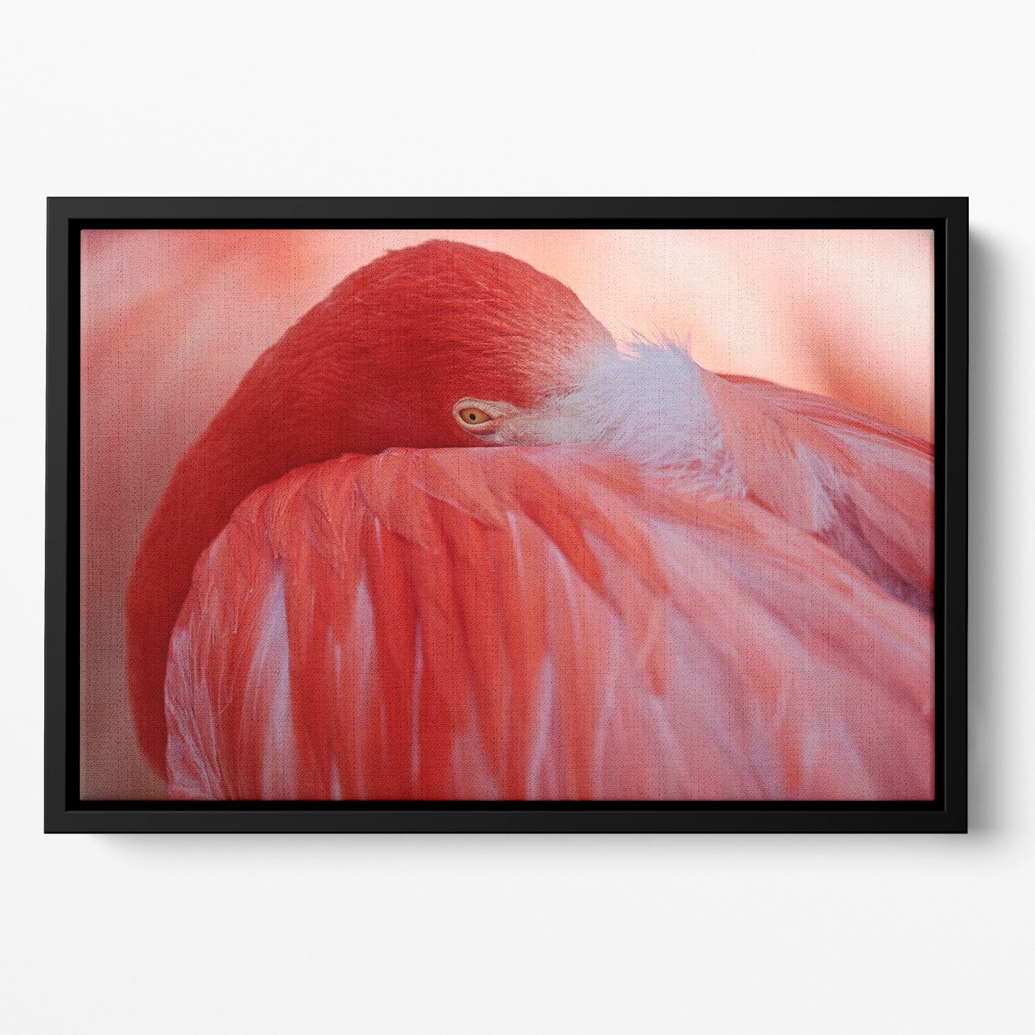 Red Flamingo Floating Framed Canvas - Canvas Art Rocks - 2