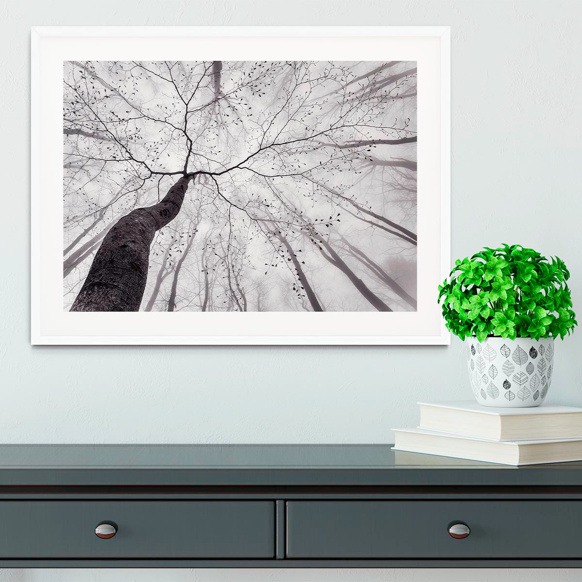 A View Of The Tree Crown Framed Print - Canvas Art Rocks - 5