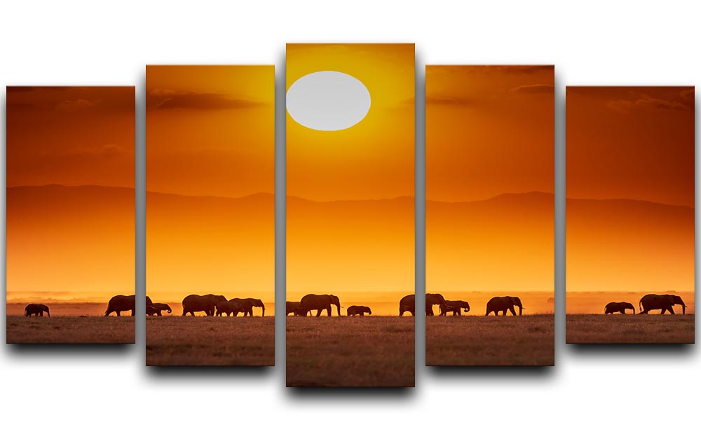 Sunrise Parade 5 Split Panel Canvas - Canvas Art Rocks - 1