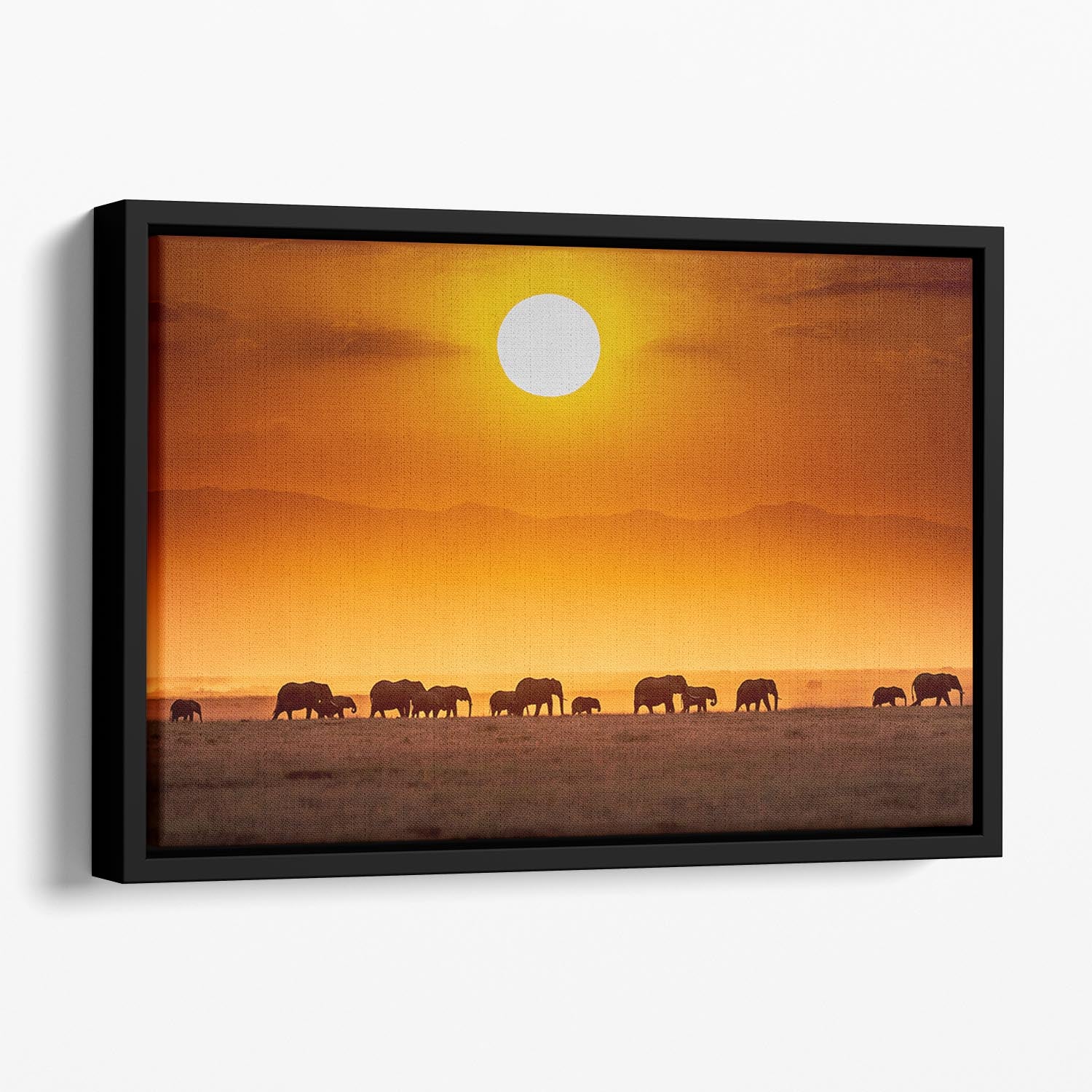 Sunrise Parade Floating Framed Canvas - Canvas Art Rocks - 1