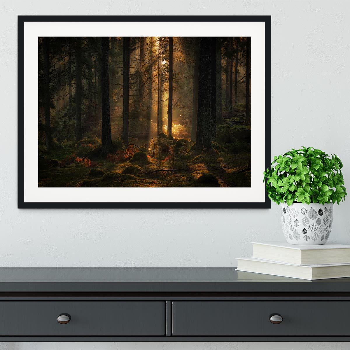 The Light In The Forest Framed Print - Canvas Art Rocks - 1