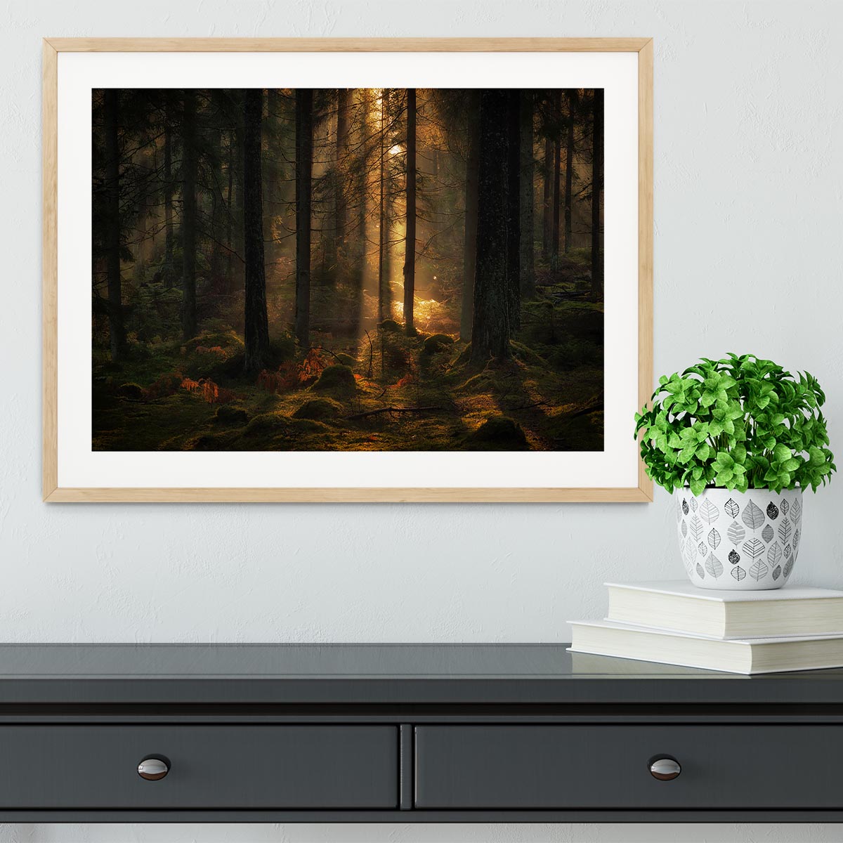 The Light In The Forest Framed Print - Canvas Art Rocks - 3