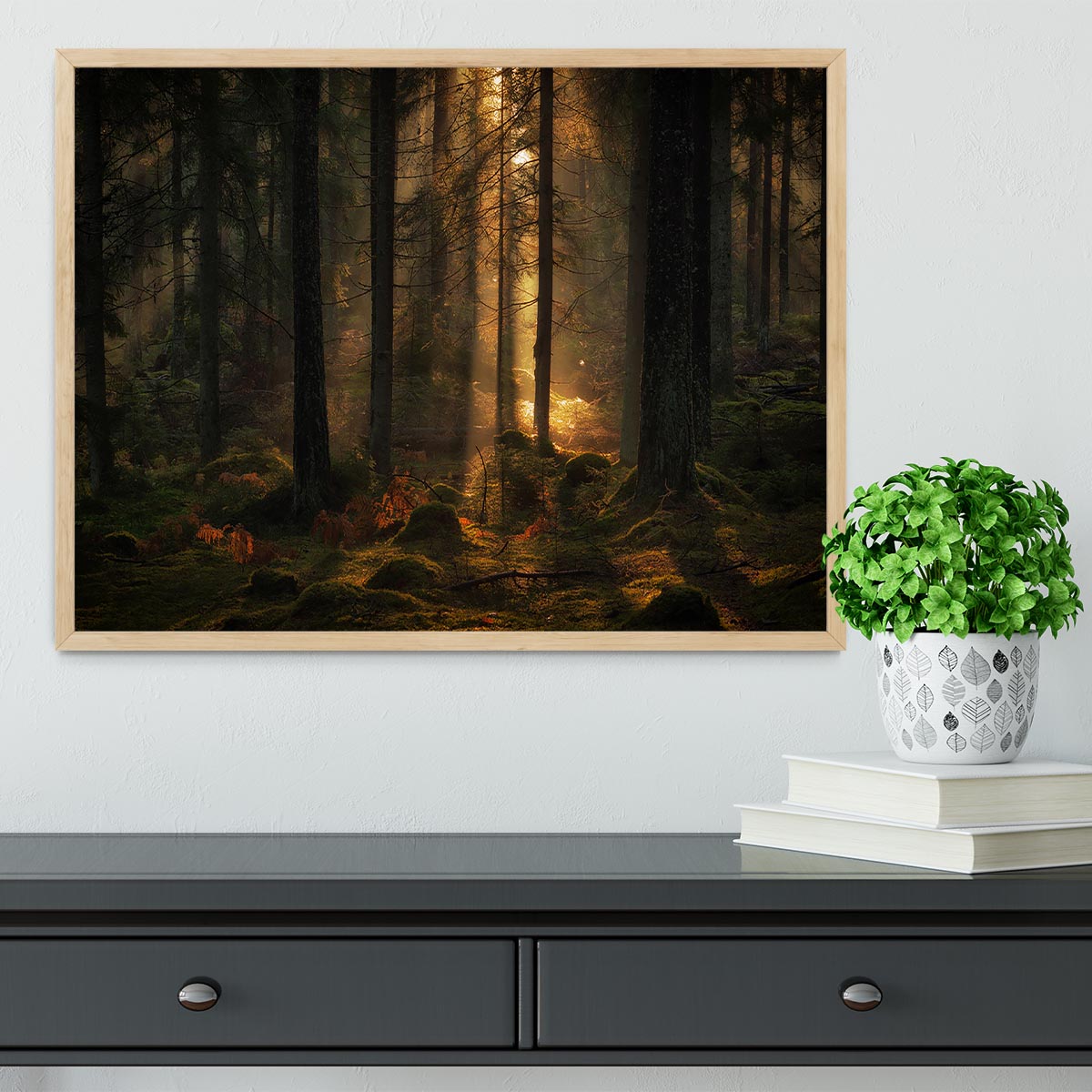 The Light In The Forest Framed Print - Canvas Art Rocks - 4