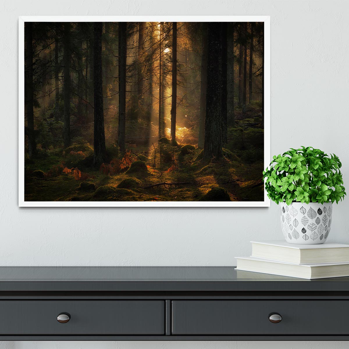 The Light In The Forest Framed Print - Canvas Art Rocks -6