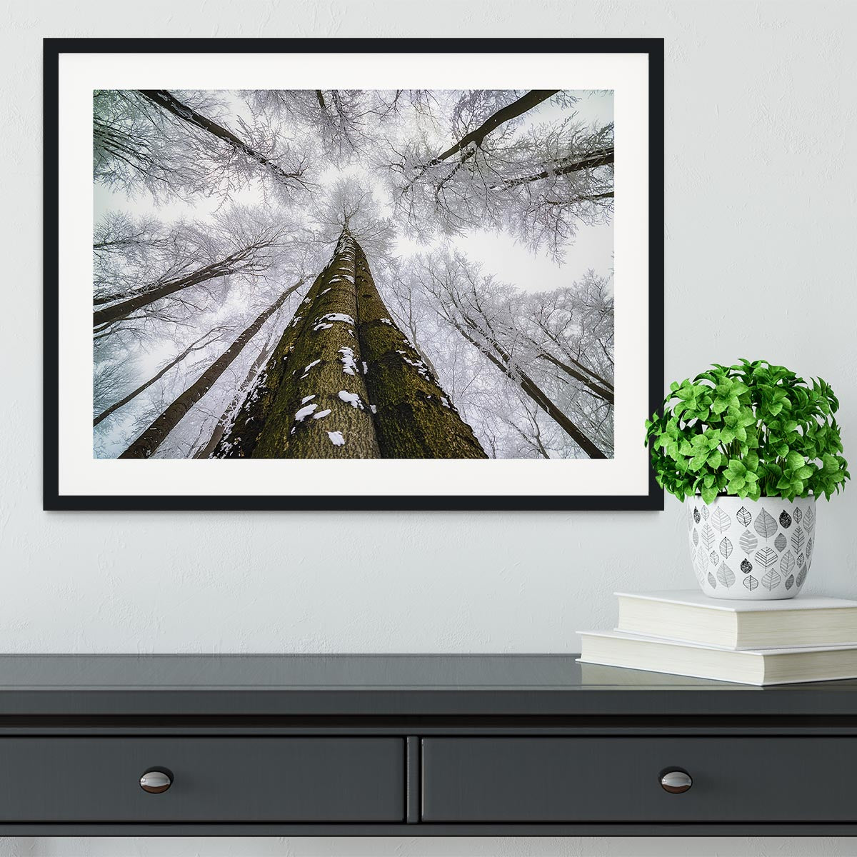 Looking Up Framed Print - Canvas Art Rocks - 1