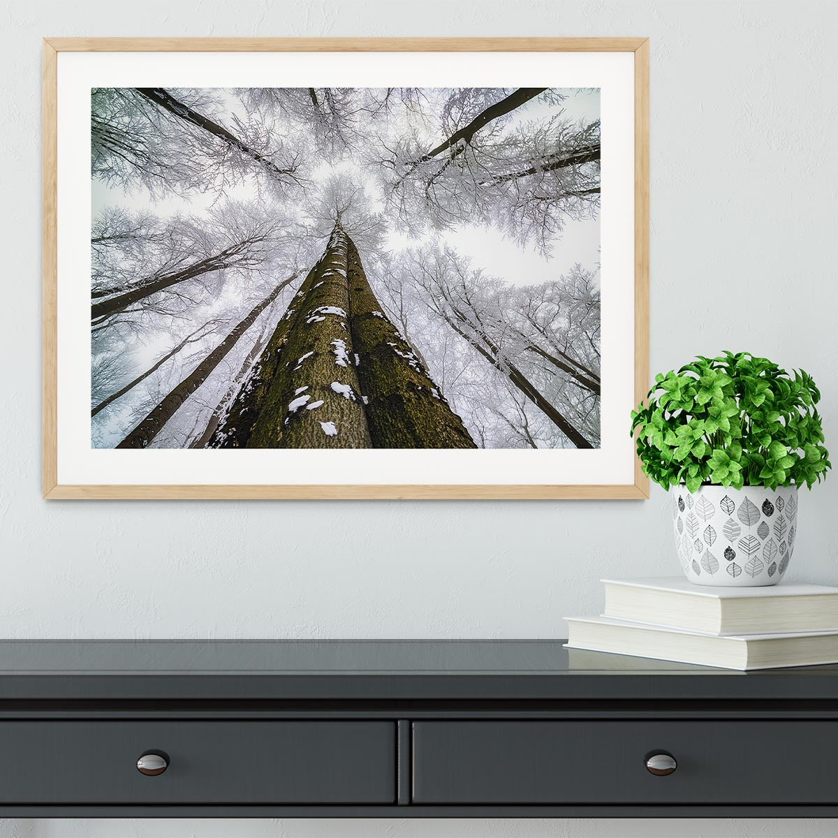 Looking Up Framed Print - Canvas Art Rocks - 3