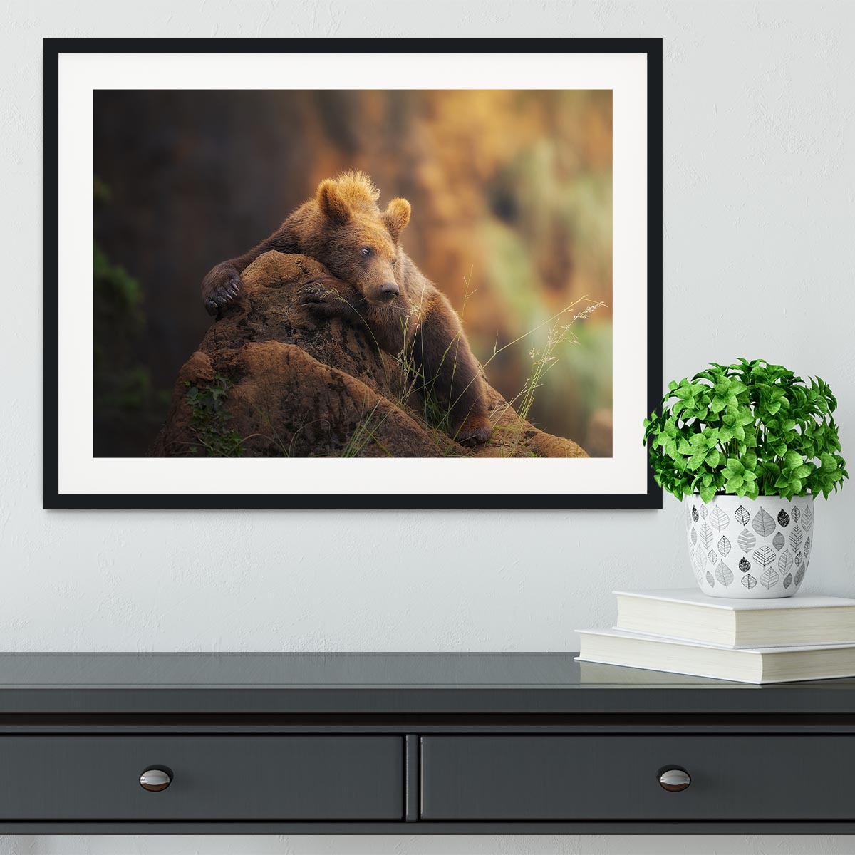 Bear portrait Framed Print - Canvas Art Rocks - 1