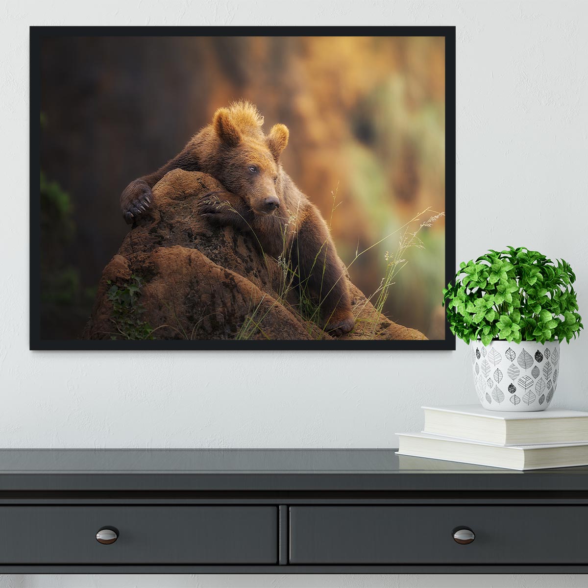 Bear portrait Framed Print - Canvas Art Rocks - 2