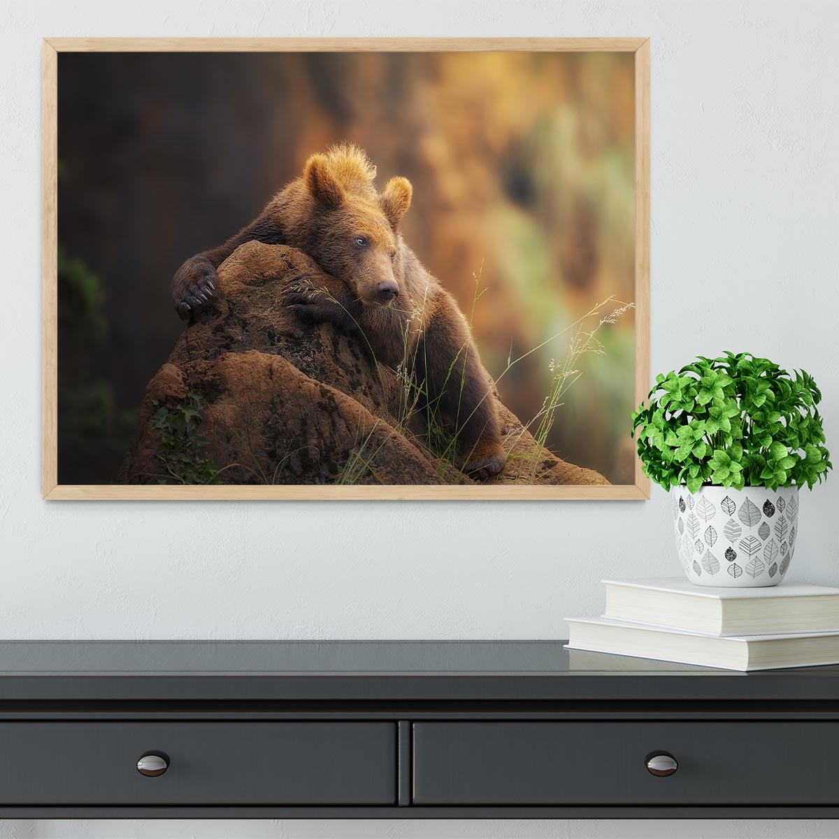 Bear portrait Framed Print - Canvas Art Rocks - 4