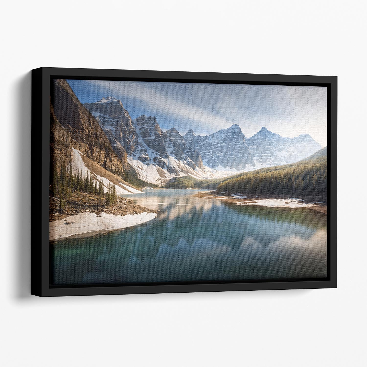 An Old Friend Floating Framed Canvas - Canvas Art Rocks - 1