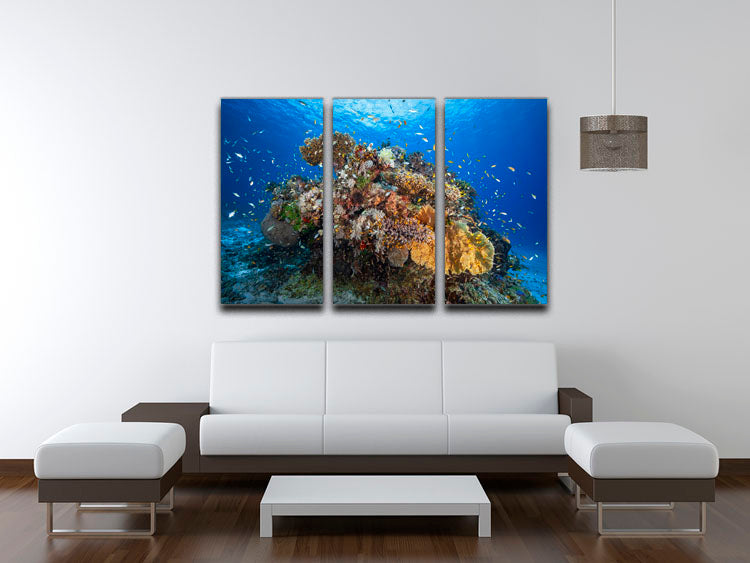 Underwater Biodiversity 3 Split Panel Canvas Print - Canvas Art Rocks - 3