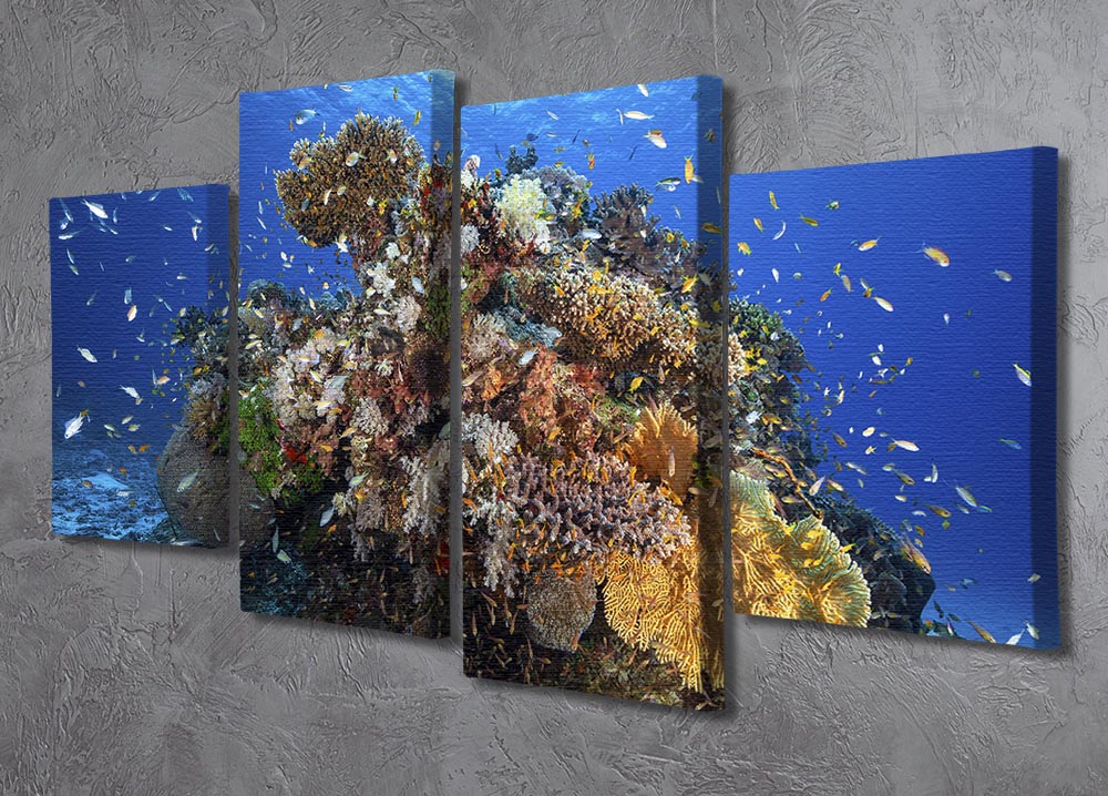 Underwater Biodiversity 4 Split Panel Canvas - Canvas Art Rocks - 2