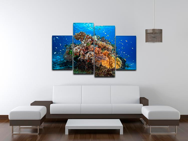 Underwater Biodiversity 4 Split Panel Canvas - Canvas Art Rocks - 3