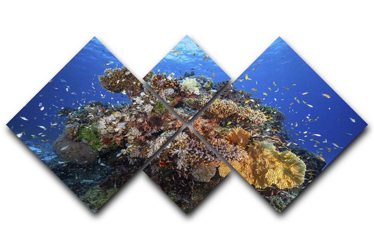 Underwater Biodiversity 4 Square Multi Panel Canvas - Canvas Art Rocks - 1