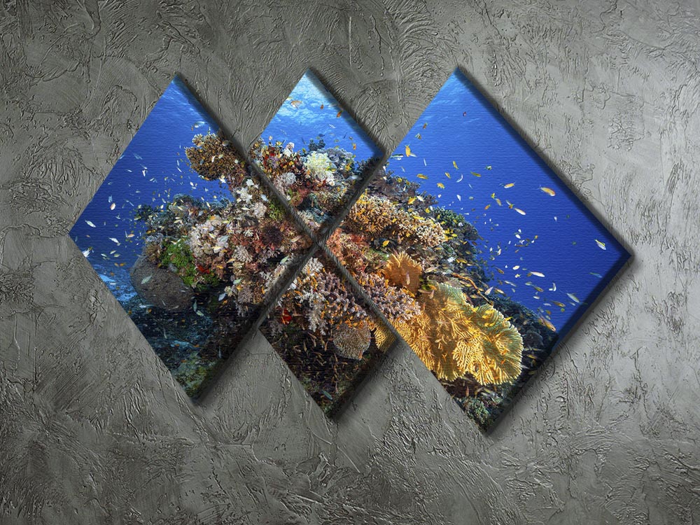 Underwater Biodiversity 4 Square Multi Panel Canvas - Canvas Art Rocks - 2