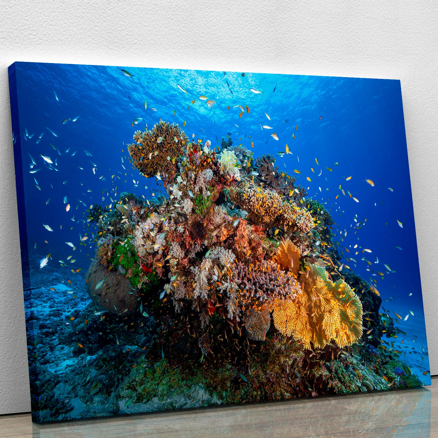 Underwater Biodiversity Canvas Print or Poster - Canvas Art Rocks - 1