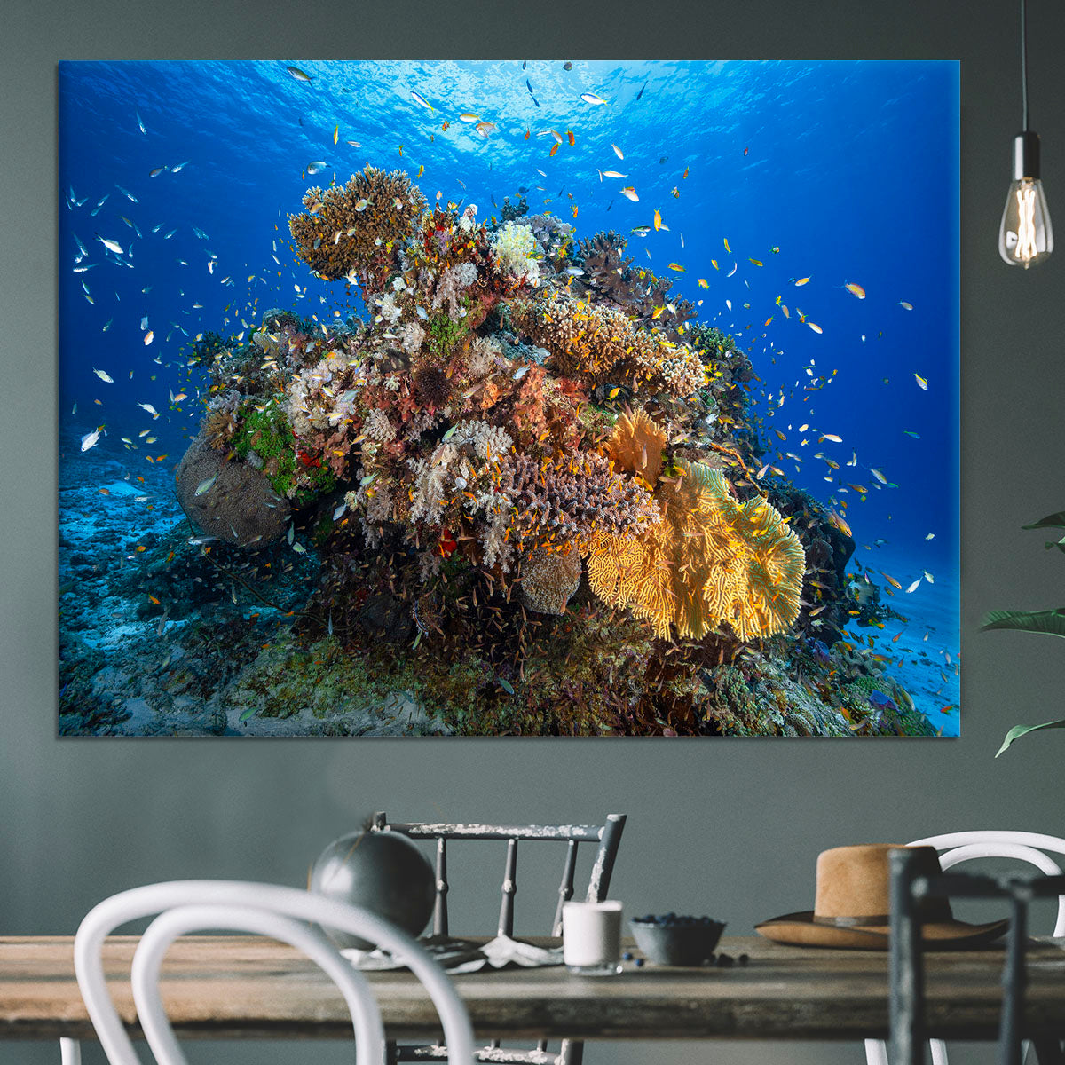 Underwater Biodiversity Canvas Print or Poster - Canvas Art Rocks - 3